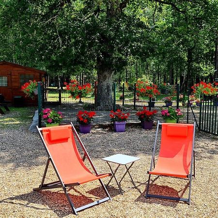Le Chalet Des Pins Hotel Rougeou Bagian luar foto
