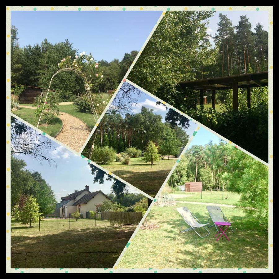 Le Chalet Des Pins Hotel Rougeou Bagian luar foto